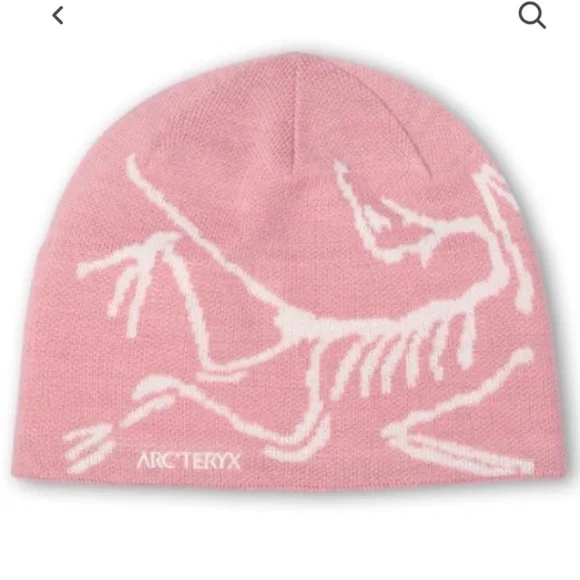 Arc'teryx | Accessories | Arcteryx Bird Head Toque Beanie | Poshmark